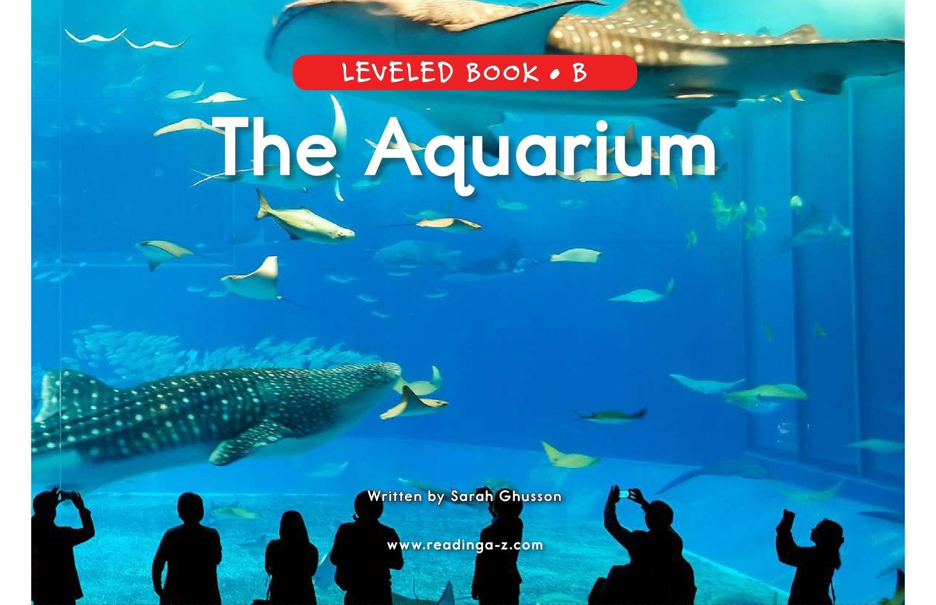 The Aquarium Cover