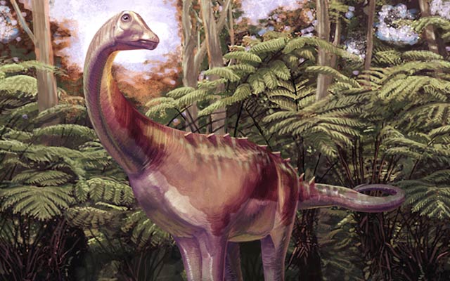 An artist's rendering of the titanosaur